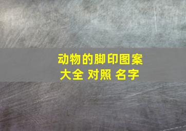 动物的脚印图案大全 对照 名字